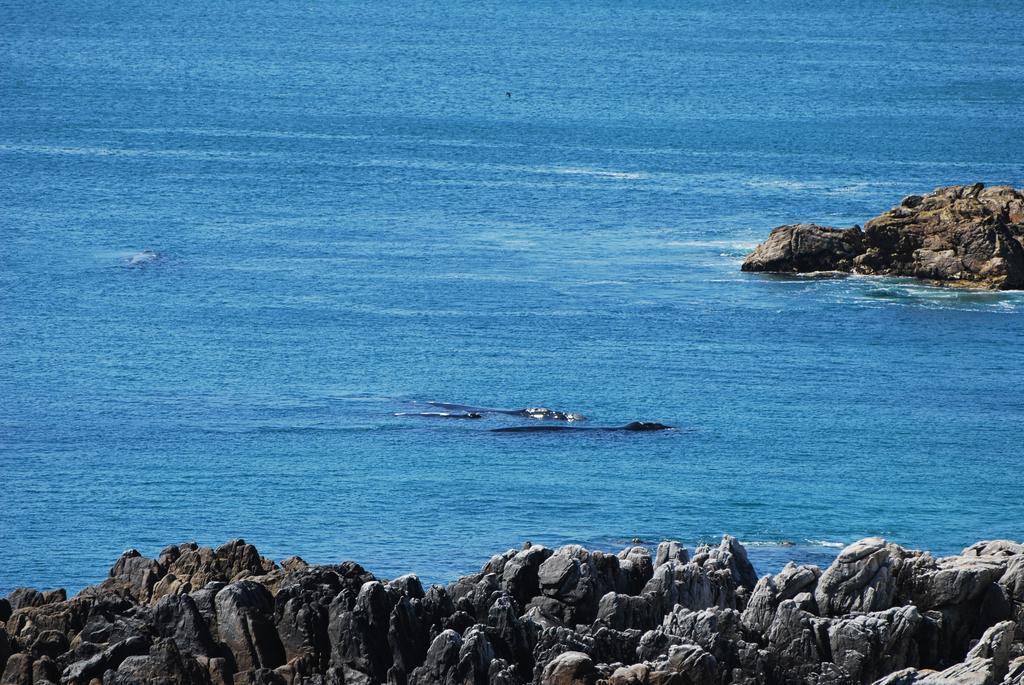 Appartamento Whaletale De Kelders Esterno foto