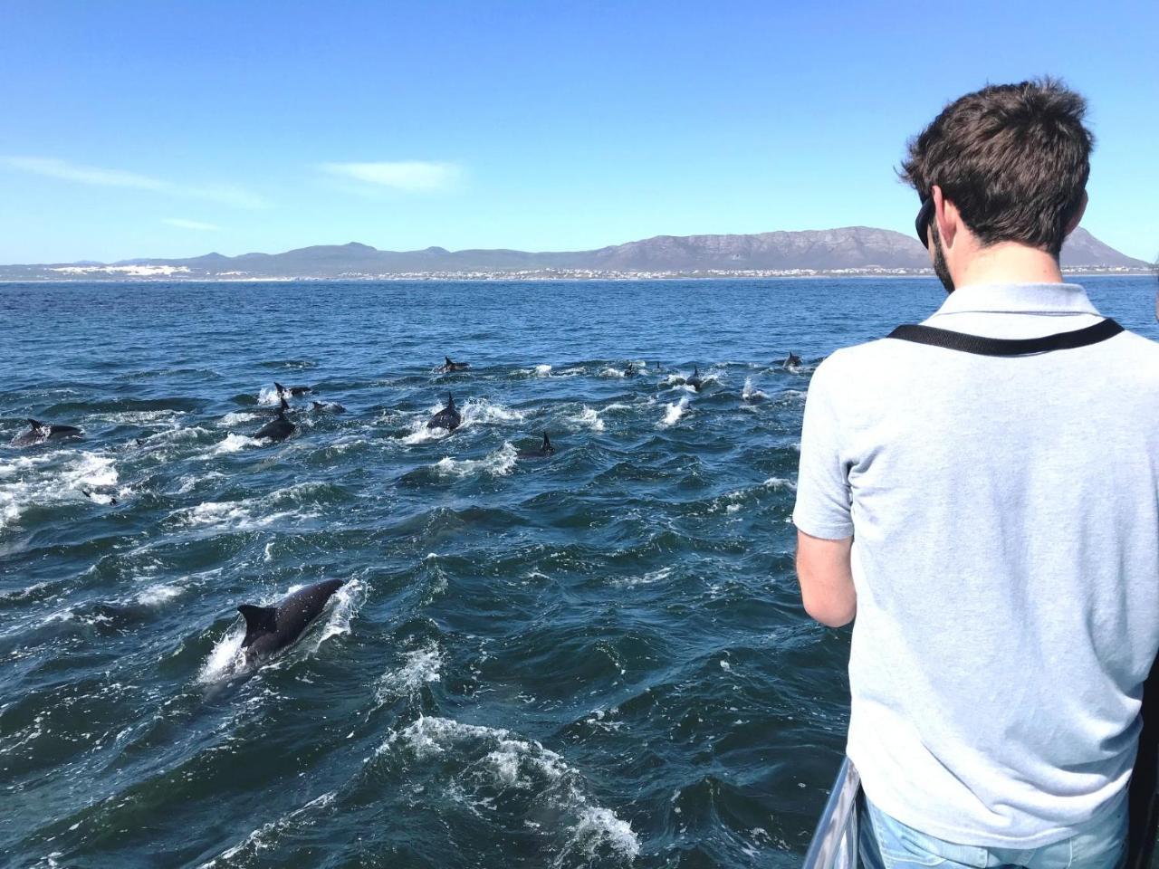 Appartamento Whaletale De Kelders Esterno foto